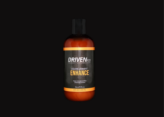 ENHANCE Liniment for Horses